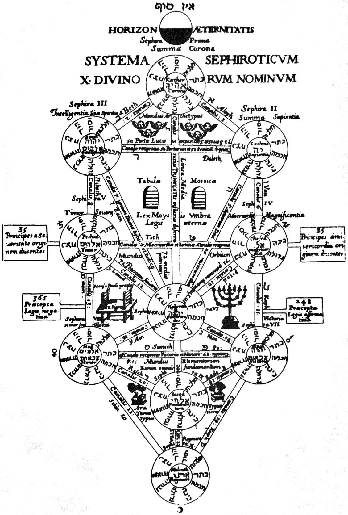  Athanasius Kirchers tree of life diagram