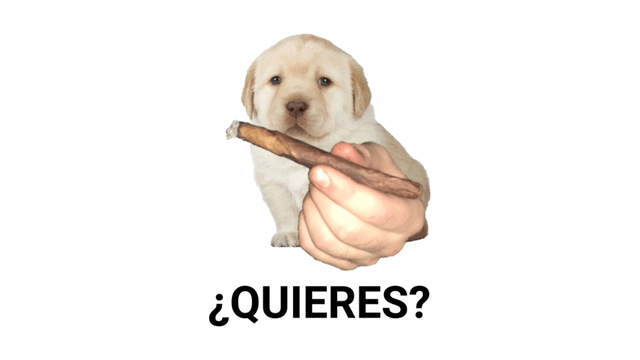 Dog handing you a spliff captioned "quieres?"